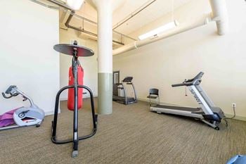 A gym with a treadmill, a stationary bike, and a weight machine.
